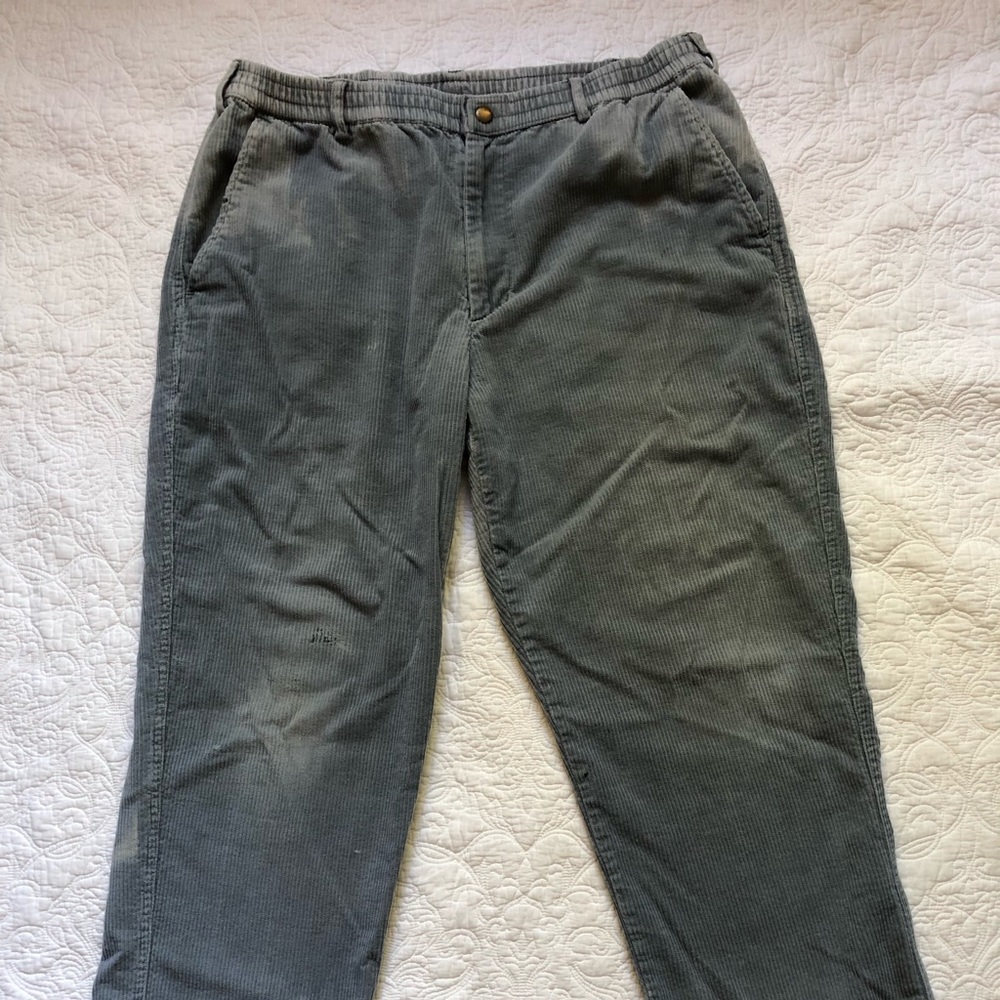 Mens corduroy pants by Stag Hill by Haband size 34M